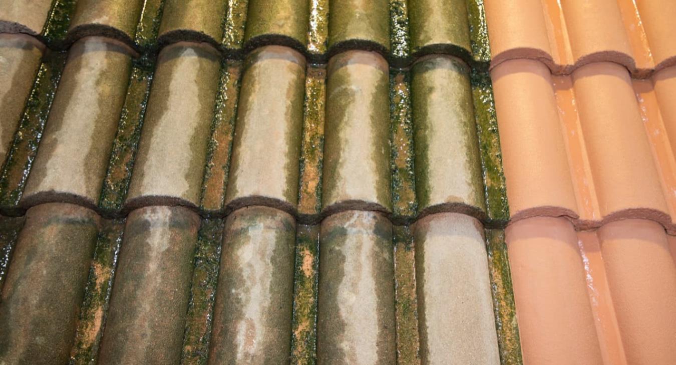 Nettoyage & Démoussage de toiture